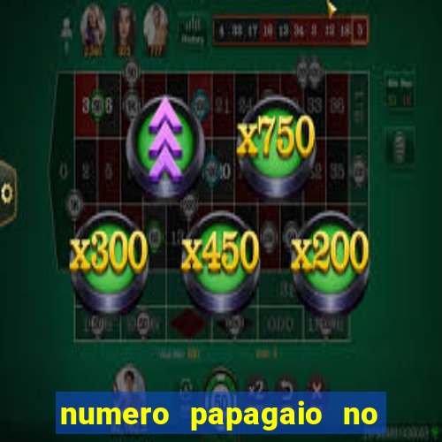 numero papagaio no jogo do bicho